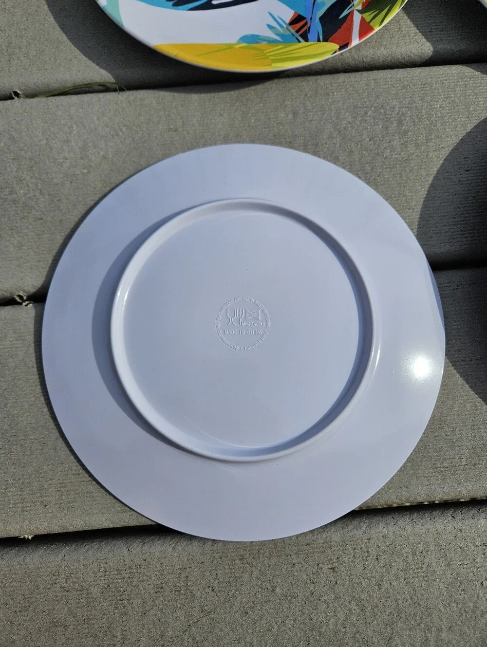 Tropical Jungle Monstera Palm Dinner Plates 9